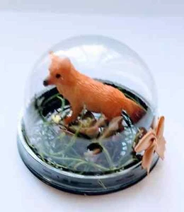 ANIMAL FAVORS Plant Pods, Succulents, Variety Miniature Terrarium gift boxed 10 - Picture 1 of 20