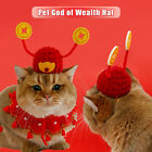 Kot Nakrycie głowy Czerwone zwierzę domowe Szczęśliwego Nowego Roku Bóg bogactwa Kapelusz Szczęśliwy kot Pies Kostiumy Czapka