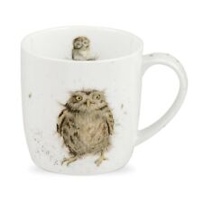 Royal Worcester What a Hoot Búho Taza Porcelana Wrendale País Nature Ave Regalo