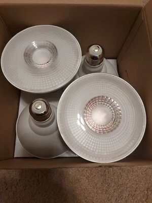 Set 4 Pcs, Visual Comfort Lens&trade; LED Lamp, 10-18 watt,  PAR38, Medium Screw - Image 1 of 4