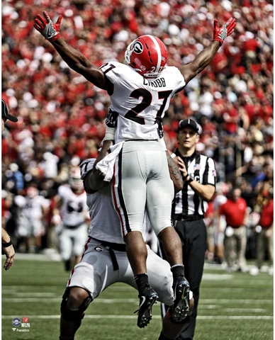 Nick Chubb Georgia Bulldogs Unsigned Celebration 16" x 20" Photo - Fanatics Cover