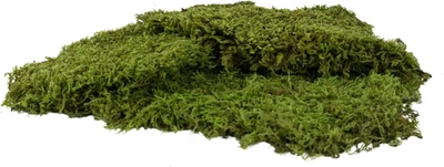 Natürlicher Moos Tellermoos 250 g Schweden Dekomoos Für Basteln - Bild 1 von 4