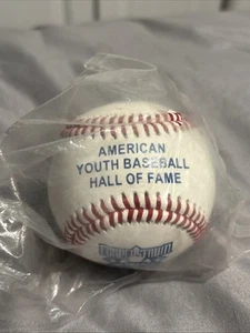 Cooperstown Dreams Park Official Ball American Youth Baseball Hall of Fame - Picture 1 of 3