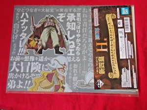 SELLADO DE UNA PIEZA BANDAI A4 CARPETA DE ARCHIVOS TRANSPARENTE, PEGATINA Y SOPORTE PARA BOLETOS CONJUNTO ANIME - Imagen 1 de 2