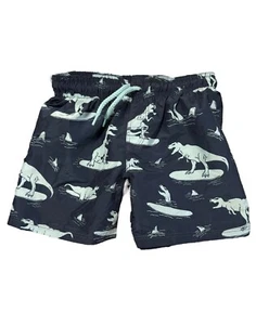 H&M Toddler Boys Dinosaur Surfing Printed Swim Trunks Size 2-4 Years (3T/4T) $18 - Picture 1 of 2