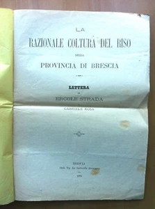 La razionale coltura del riso nella provincia di Brescia E. Strada 1876 - E1392 - Picture 1 of 1