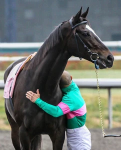ZENYATTA 8*10 PHOTO Hollywood Park "FAREWELL MY QUEEN" - Picture 1 of 1