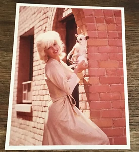 VINTAGE BEAUTIFUL SEXY JAYNE MANSFIELD POSES W/ CUTE CHIHUAHUA - 8X10 PHOTO - Picture 1 of 2