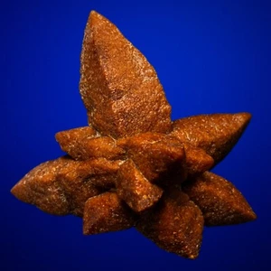 Calcita después de Ikaite "Glendonita" Península de Kola, Rusia 2303-185 - Imagen 1 de 5