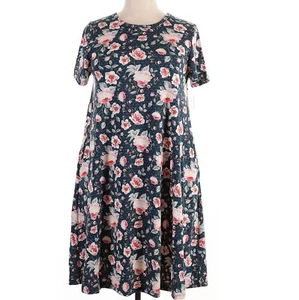 Vestido para mujer LuLaRoe talla 2XL Jessie azul rosa rosas corazones florales 2X XXL NUEVO CON ETIQUETAS - Imagen 1 de 4