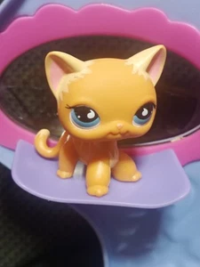 LPS #PUZZLE LITTLEST PETSHOP ORIGINAL AUTHENTIC CHAT EUROPEEN EUROPEAN CAT - Picture 1 of 4