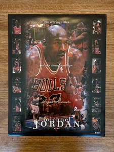 MICHAEL AIR JORDAN ONE NBA BULLS Five Championships 10 Scoring Titles 16 X 20 - Picture 1 of 1