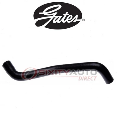 Gates Lower Radiator Coolant Hose for 2001 Ford F-100 Ranger 2.3L L4 - zo Foto 1 de 4