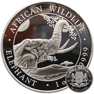 Moneda de plata Somalia Elefant 2023 1 oz plata Ag 999,9 vida silvestre africana * - Imagen 1 de 5