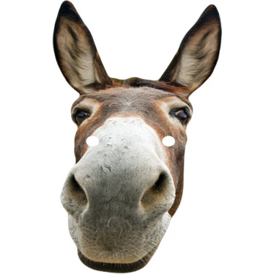 Donkey Narrow Animal Celebrity Card Face Mask  - Fancy Dress - Ready To Wear - Image 1 of 2