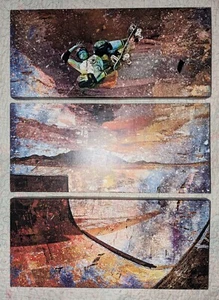 *RARE* Tony Hawk Legendary Wall Art Trio Artwork 24 x 18 Inches - Picture 1 of 11