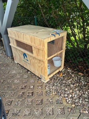 Flugbox Hunde nach IATA Standards 100 x 80 x 60cm - Bild 1 von 4