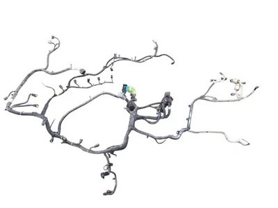 ESCALAESV 2015 Engine Wire Harness 636495 - Image 1 of 4