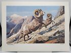 Vintage Signed Bob Kuhn Bighorn Sheep Spooked Running Scared Uphill Mountaintop 