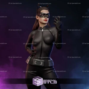 Catwoman DC COMICS ACTION FIGURE Statue Kit resina 3D!!! UNPAINTED - Imagen 1 de 9
