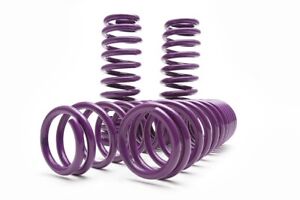 D2 Racing Pro Series Lower Springs for Honda Accord and Acura
