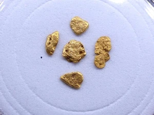 ✅ FDMINERALS ✅👉 NATIVE GOLD NUGGETS 👈 Ese de Calleras - Asturias - Spain - 198 - Picture 1 of 6