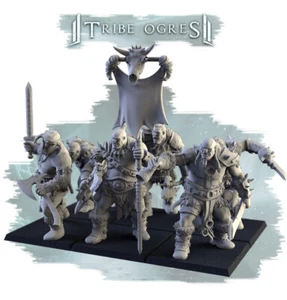 TRIBU OGROS x6, Ogro del Norte, RPG Juegos de Guerra Fantasía DnD Monstruoso Ogro Miniatura - Imagen 1 de 1