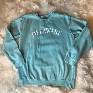 Comfort Colors Delaware State aquablaues Damen-Sweatshirt mit Rundhalsausschnitt Medium - Bild 1 von 7