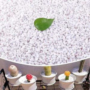 Fish Tank Garden Vases Decorative Pebbles Gravel Rocks Stones,Small White Rocks - Picture 1 of 7