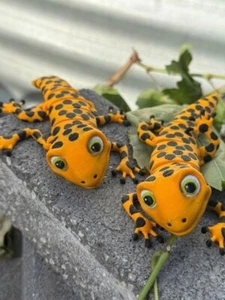 gecko 3D Printed Fidget Toy Figurine Gifts - Picture 1 of 1