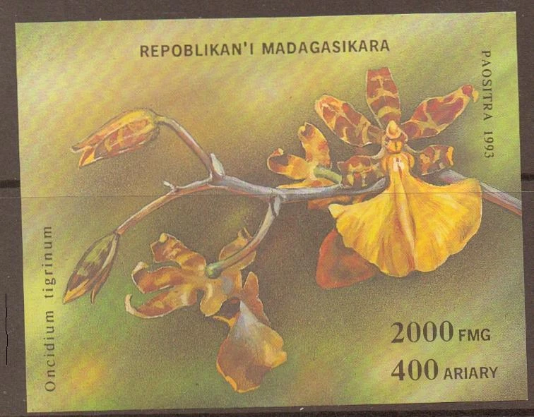 MADAGASCAR SGMS1132 1993 ORCHIDS MNH - Image 1 of 1
