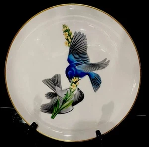 Amerikanische Singvögel..Indigo Wimpelkette..scheint unbenutzt..schöne Farben..10,5" - Bild 1 von 10