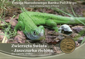 2 Zloty 2009 - European Green lizard - (Lacerta viridis) - Coin in Blister - Picture 1 of 2