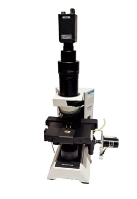 Olympus CX 40 Microscope From An Innovatis Cedex Automated Cell Counter  - Image 1 of 2