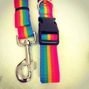 RAINBOW LOVE Collar and Lead set Medium to Xlarge Dogs wear with Pride xxx - Picture 1 of 1