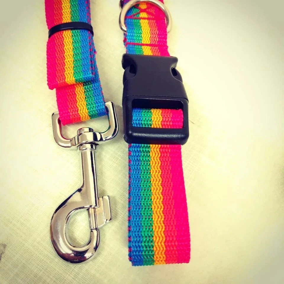 RAINBOW LOVE Collar and Lead set Medium to Xlarge Dogs wear with Pride xxx - Image 1 of 1