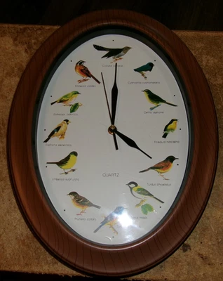 Reloj de pared pájaro cantor ovalado batería plástico 15.5"T x 12"W funciona bien usado Foto 1 de 4