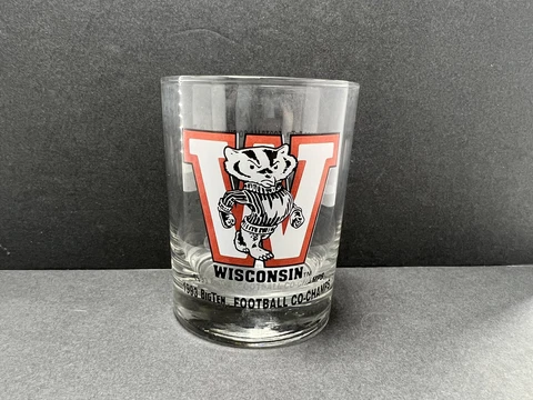 Wisconsin Badgers 1993 Big Ten Rose Bowl 4” Whiskey Drinking Glass Cover