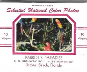 Carpeta de recuerdo vintage Florida Datona Beach Parrot's Paradise 10 vistas - Imagen 1 de 5