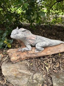 Adorno Estatua Lagarto Cuello Volantes Animal Hormigón Jardín Hecho en Australia Grande - Imagen 1 de 9