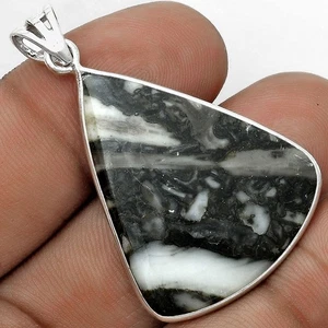 Fósil Mexicano Natural Cabbing Plata de Ley 925 Colgante Joyería P-1001 - Imagen 1 de 5