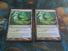 ***1x Flooded Grove*** MTG Eventide -audioa99- LP