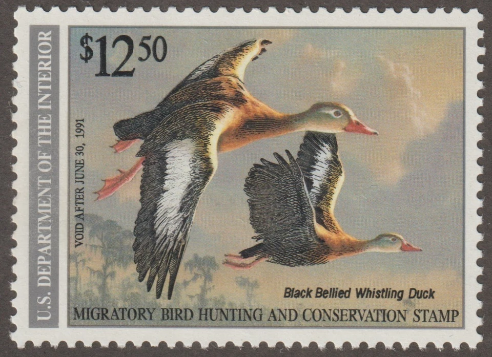EDSROOM-21345 US RW57 MNH 1990 Duck Hunting Permit Stamp Whistling Duck CV$20 - Image 1 of 1