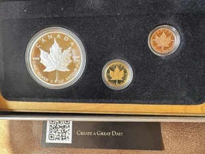 1989 Canada10th Anniversary Maple Leaf 3-Coin Set 1 OZ Silver 1/10 Gold Platinum - Picture 1 of 9