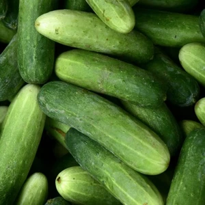 1/4 Lb Marketmore 76 Cucumber Seeds - Everwilde Farms Mylar Seed Packet - Picture 1 of 2