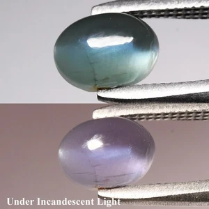 💎 1.20ct Oval Cabochon Natural Green Cat's Eye Alexandrite - Russia Gemstone - Picture 1 of 6