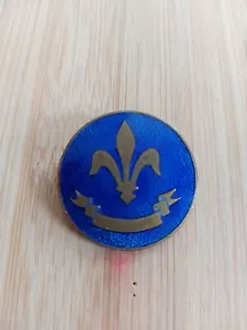 International Scouting Metal Enamel Badge Blue - Picture 1 of 2