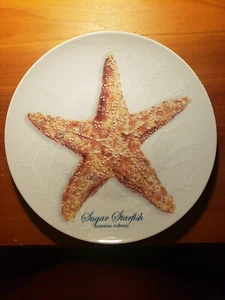 Hermoso Plato de Ensalada/Desierto Estrella de Azúcar Pescado Concha Marina 8 1/4" Por 1" Decorativo  - Imagen 1 de 6