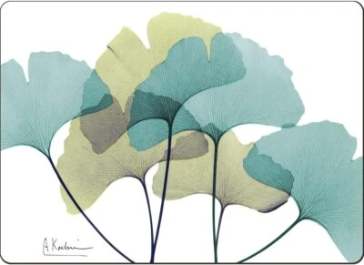 Decorative Hardboard Cork Back Tabletop Placemats 4 Pack Manufactured in The USA - Image 1 of 4