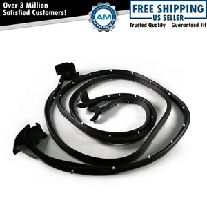 Door Seals Rubber Weatherstrip Pair Set of 2 for Buick Chevy Olds Pontiac 2 Door - Picture 1 of 2